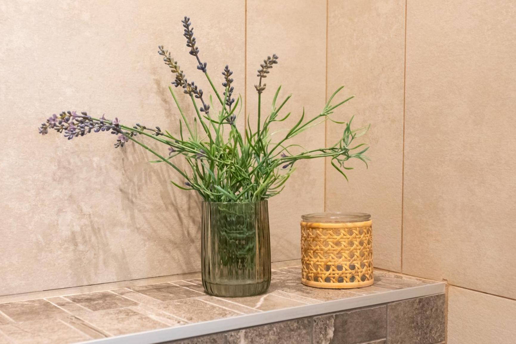 Boutique Apartment La Lavande Free Parking 10 Min Walk Νίκαια Εξωτερικό φωτογραφία